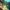 Jumanji: The Video Game - Ps4