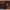 Life Is Strange: True Colors.-ps5