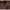 Life Is Strange: True Colors.-ps5