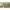 70719566