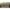 70739352