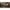70741526