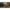 70988851