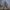 71029619