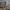 71029616