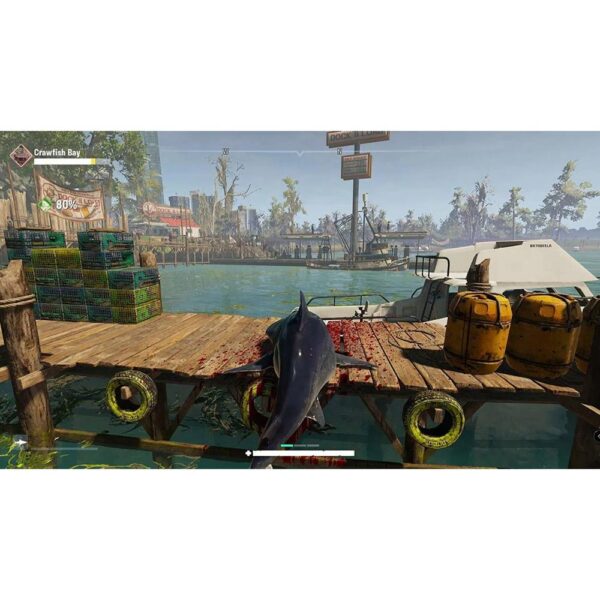 71605343