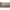 72402052
