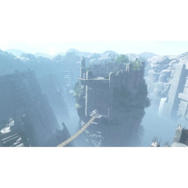 73116407