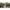 72402072