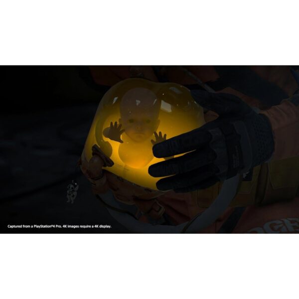 3d23b49f-ba65-4190-a81a-bf05e72e1e14.jpg 73308810